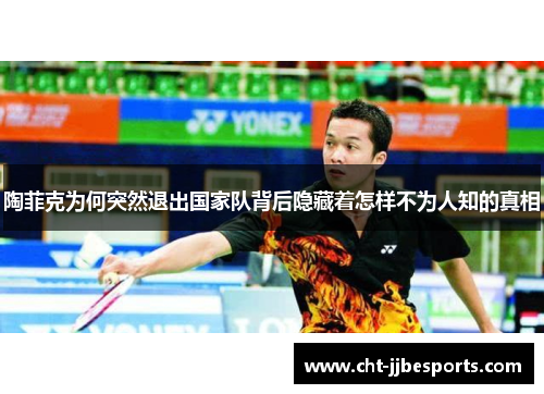 陶菲克为何突然退出国家队背后隐藏着怎样不为人知的真相 陶菲克为何突然退出国家队背后隐藏着怎样不为人知的真相