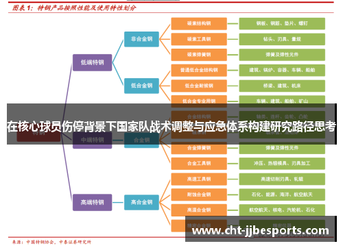 在核心球员伤停背景下国家队战术调整与应急体系构建研究路径思考